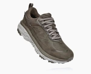 Hoka One One Women's Challenger Low GORE-TEX Hiking Shoes Brown - AU EFDM